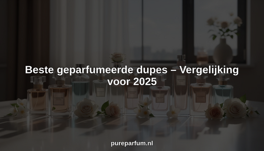 beste geparfumeerde dupes hero header image